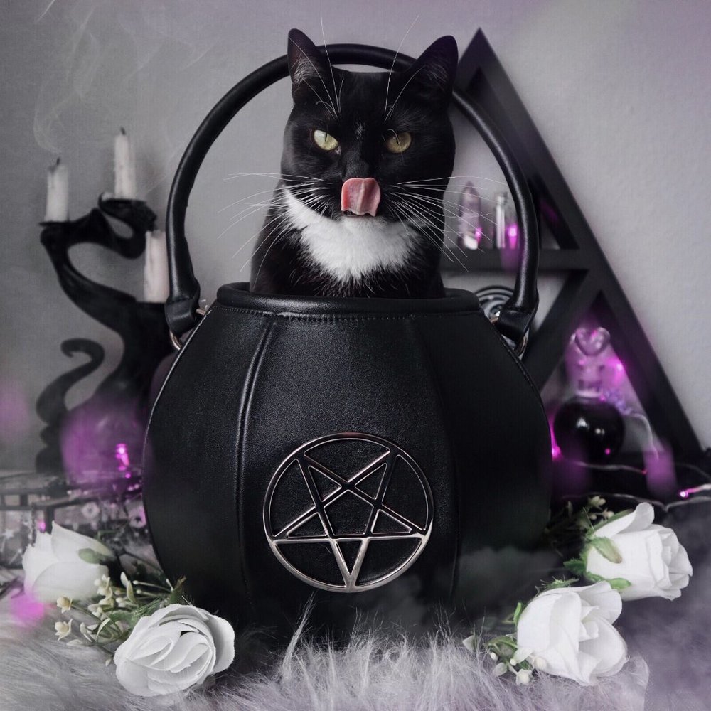 Killstar witch Cauldron Handbag Purse nwt RARE - Picture 4 of 16